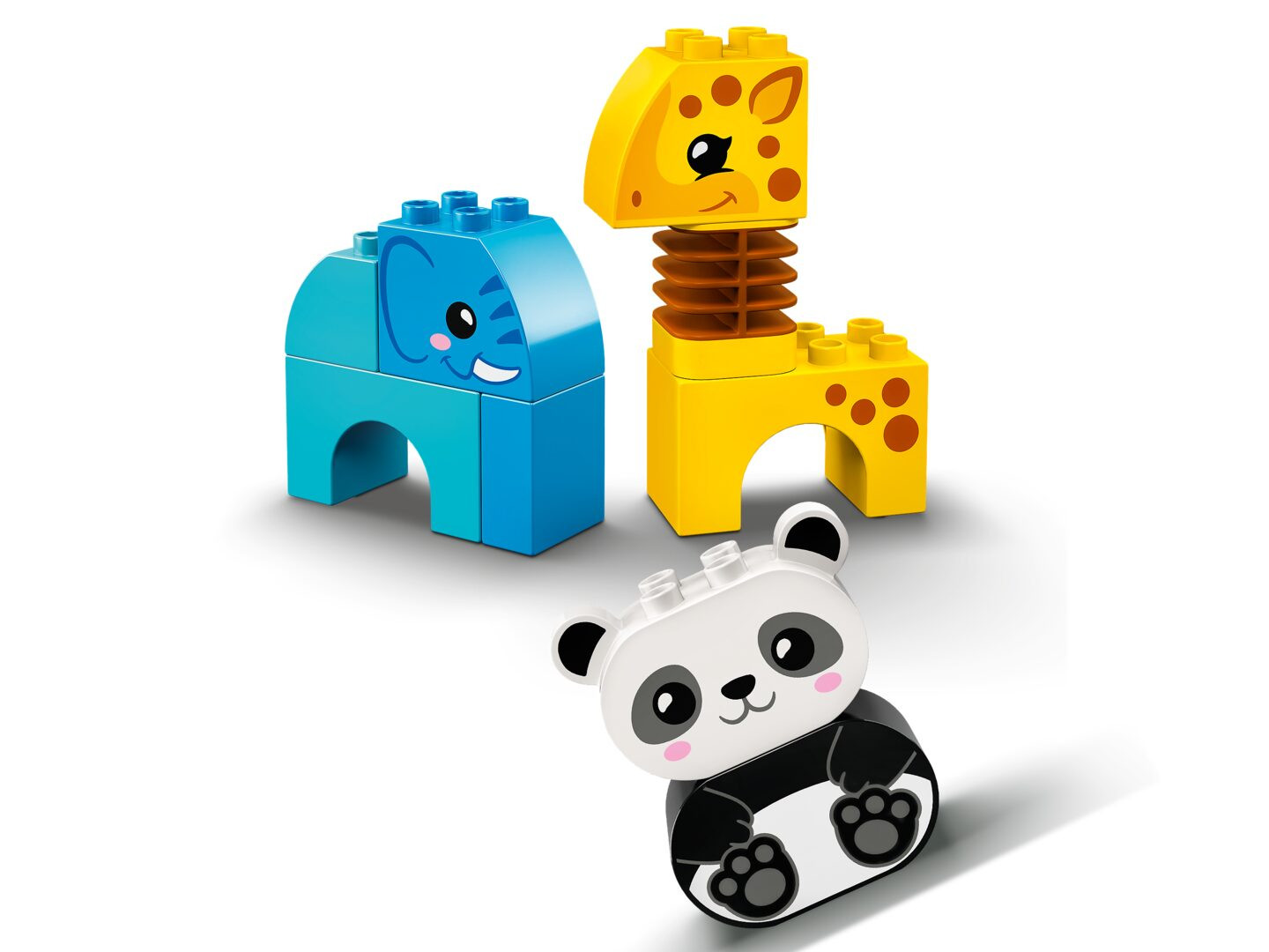 Dierentrein — Afbeelding 5