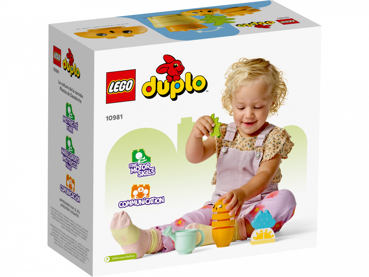 Groeiende wortel — Afbeelding 6