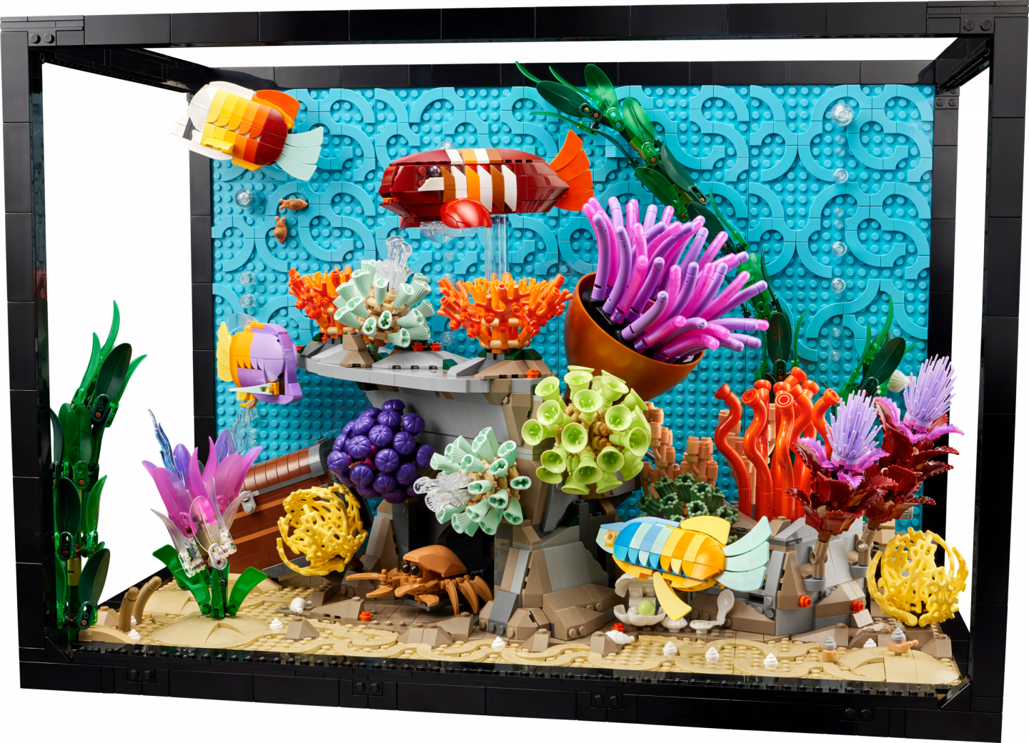 Tropisch aquarium